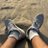 saiesh44