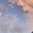 saini_sush13826