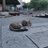 sandy_senthil