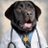scalpelinvestor