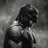 shaik_faizie