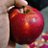 shaik_ismaill