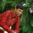 sidhu_6921