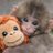 singdancemonkey