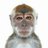 sipa_iwan98058