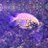 sluff_