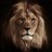 smit_joshi9779