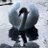 smudge973