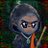 sonder_crypto