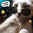 sonu_eth_sol