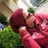 swati_Bhatia__