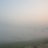 syed_rizvi11
