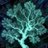thenatureofcode