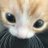 toastedbagel233