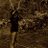 viswas_p