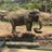 wild_adventure8