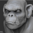 yorch_mr3d
