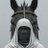zenithtrades_x